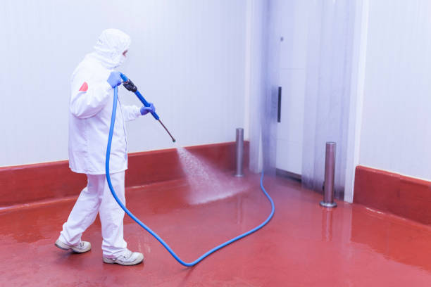 Best Solar Panel Cleaning  in Iron River, MI
