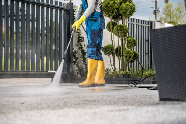 Boat and Dock Cleaning in Iron River, MI