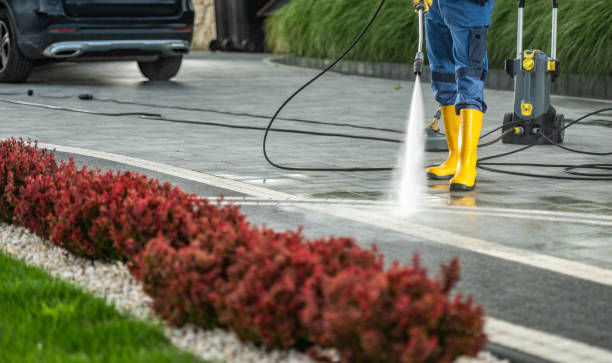 Best Graffiti Removal  in Iron River, MI