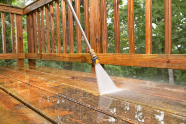 Best Roof Washing  in Iron River, MI